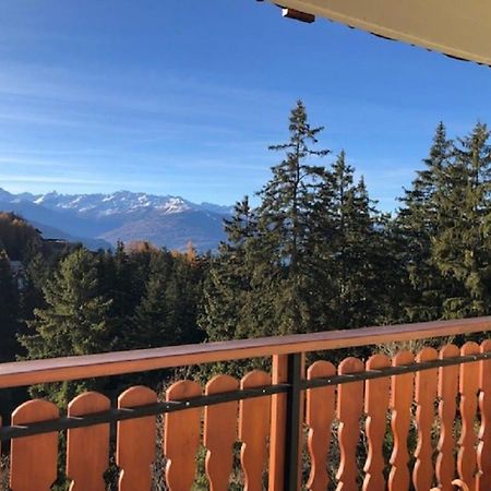 Between Slopes And Golf Facing The Alps Crans-Montana Eksteriør bilde